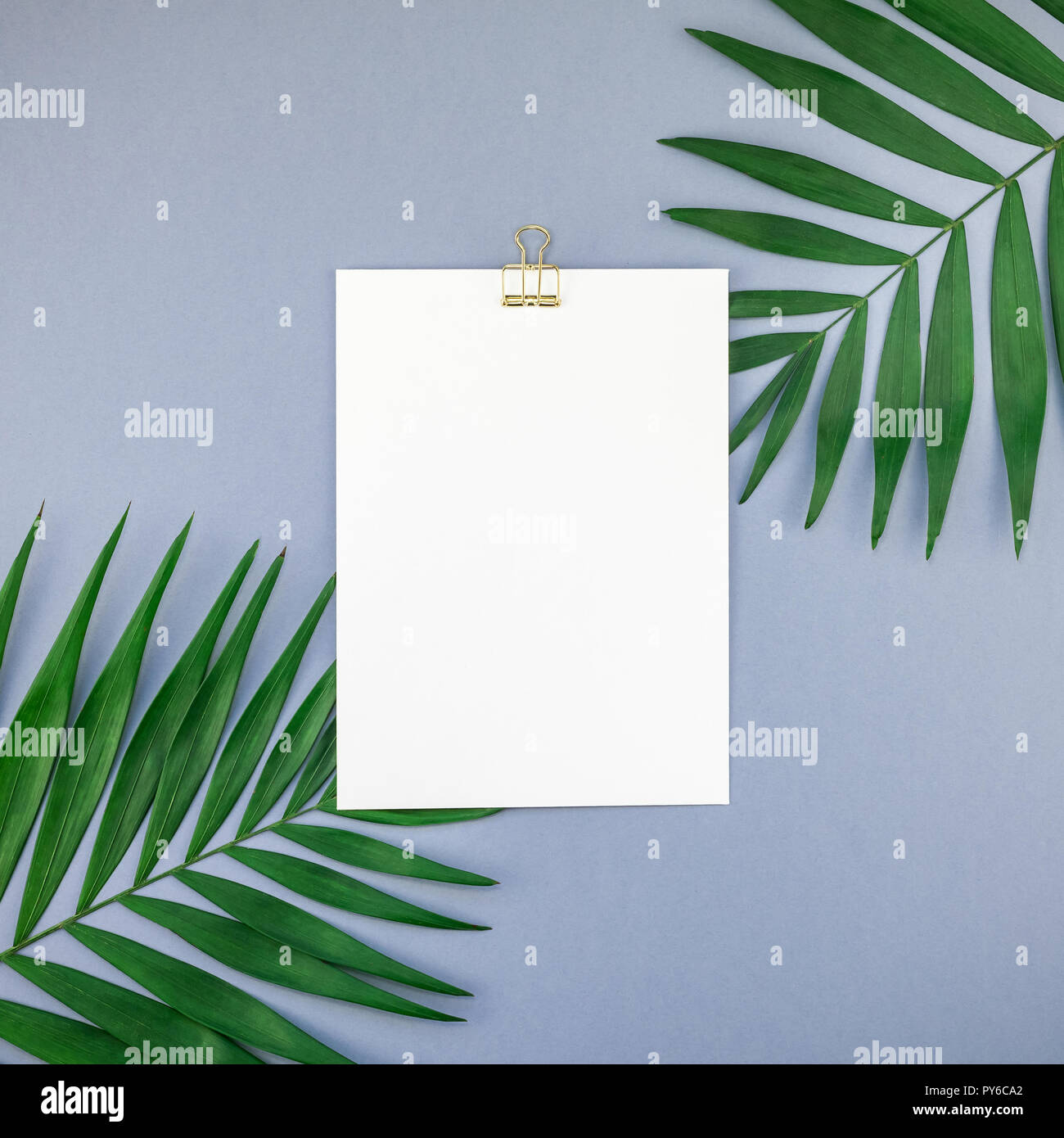 Creative flat lay top view mock up blank paper sheet postcard clipboard ...
