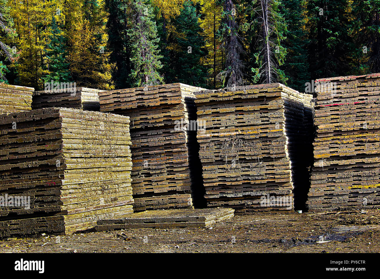 Piles of access mats used to build roads in wet areas Stock Photo