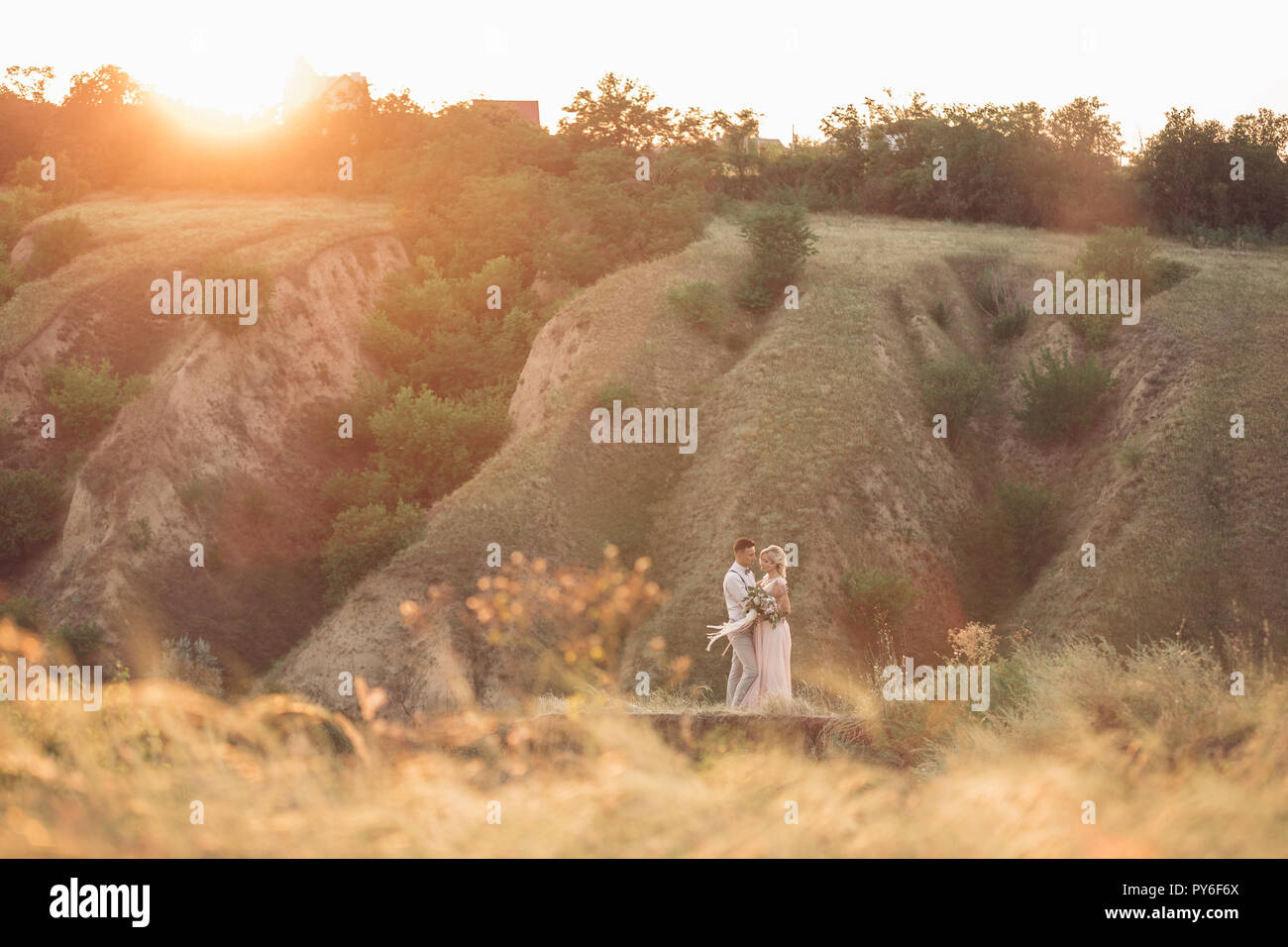 wedding couple on the nature in summer day Stock Photo - Alamy