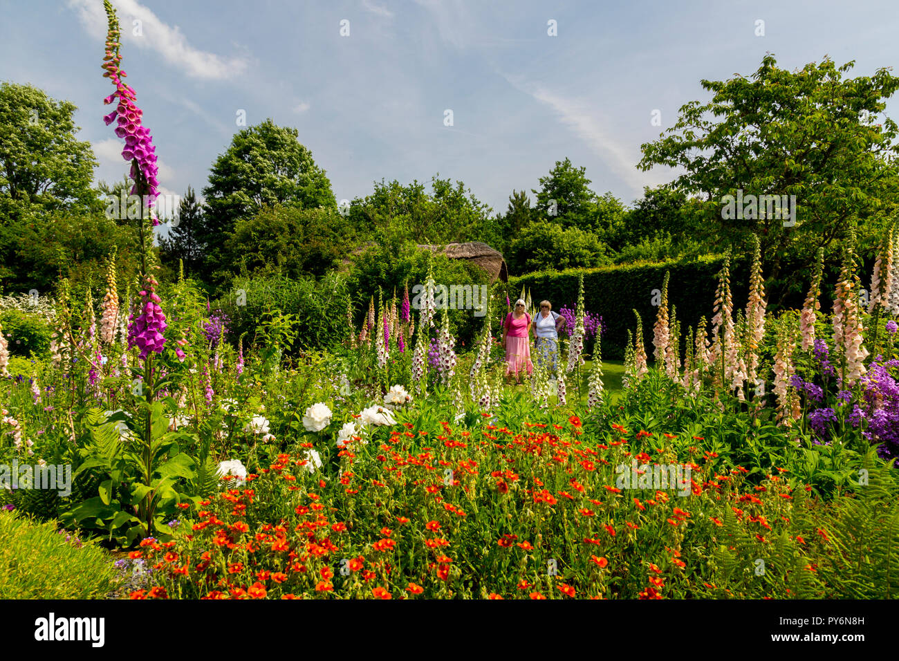 Herbaceous perennials hi-res stock photography and images - Alamy