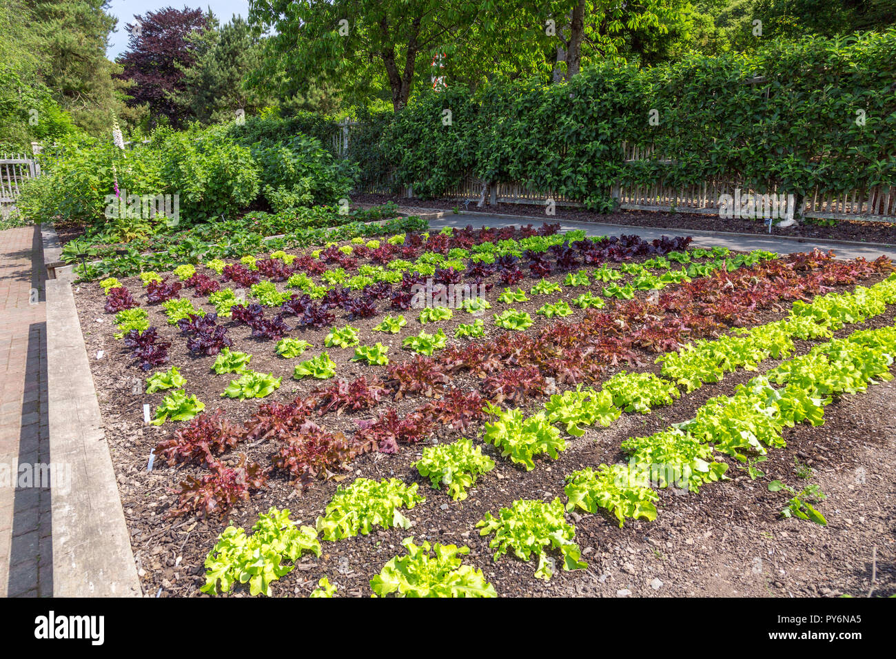 Learning The Difference Between Raised Rows Vs Flat Rows In, 42 OFF