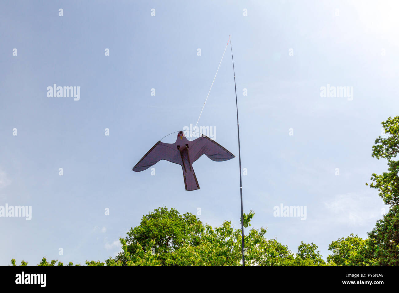 Bird Of Prey Silhouette Hi res Stock Photography And Images Alamy bird-of-prey-silhouette-hi-res-stock-photography-and-images-alamy