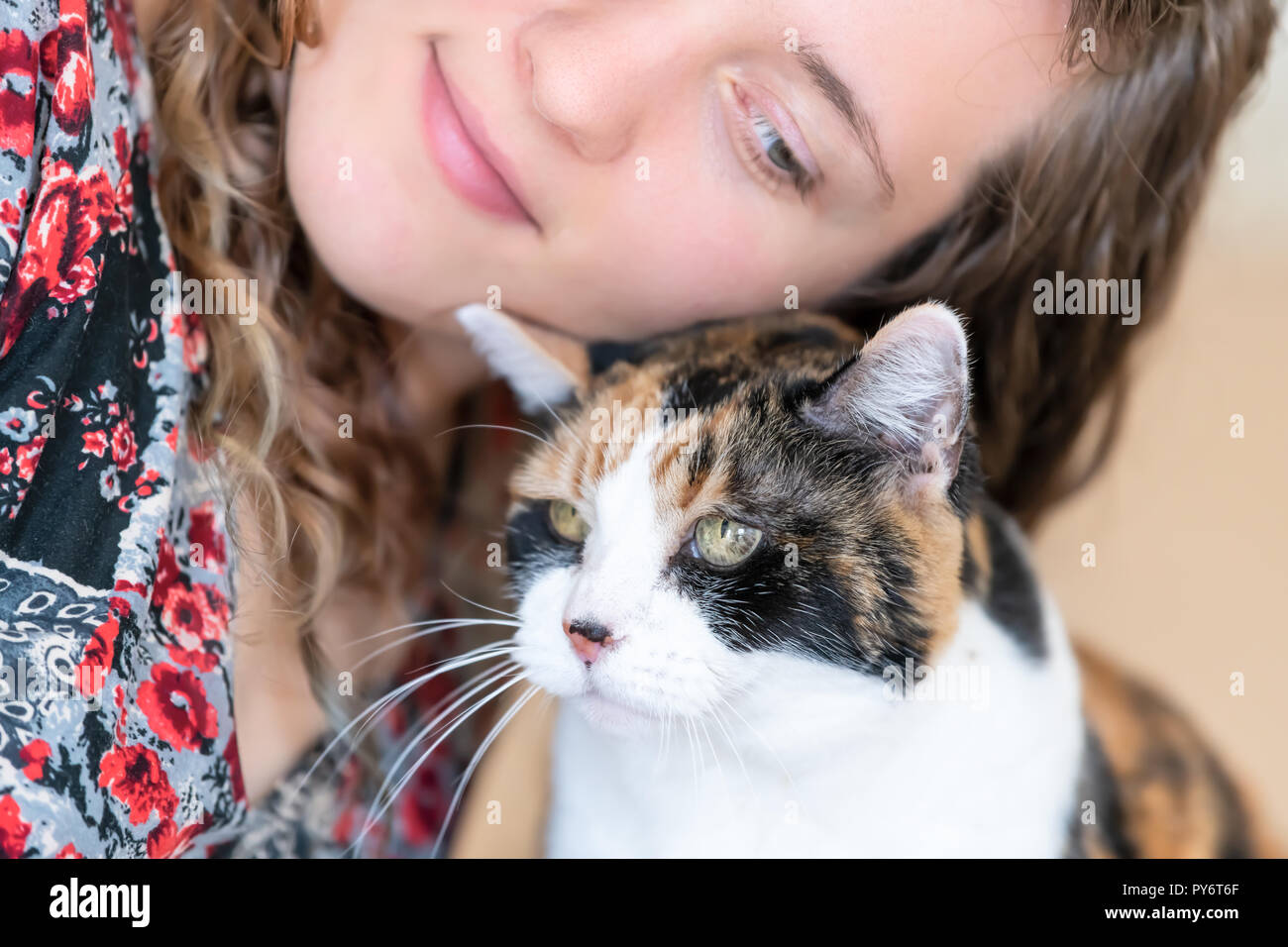 Young woman bonding with calico cat bumping rubbing bunting heads, friends friendship companion pet happy affection bonding face expression, cute ador Stock Photo