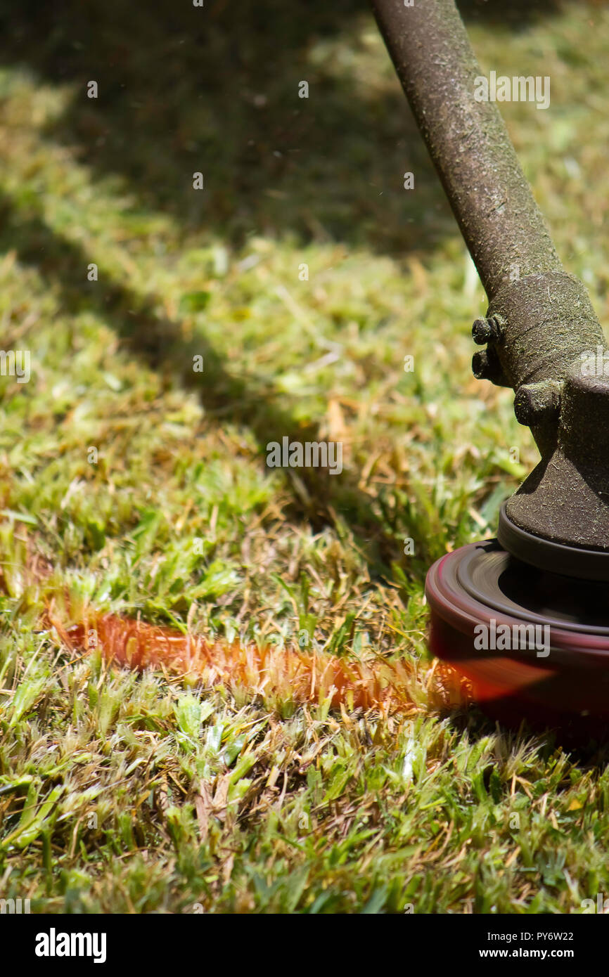 Lawn Mover in action closeup Stock Photo