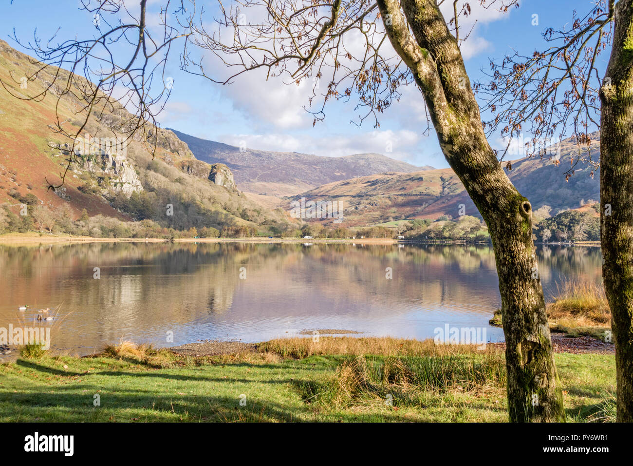 Autumn reflections on Llyn Gwynant in the Nant Gwynant Valley, Snowdonia National Park, North Wales, UK Stock Photo