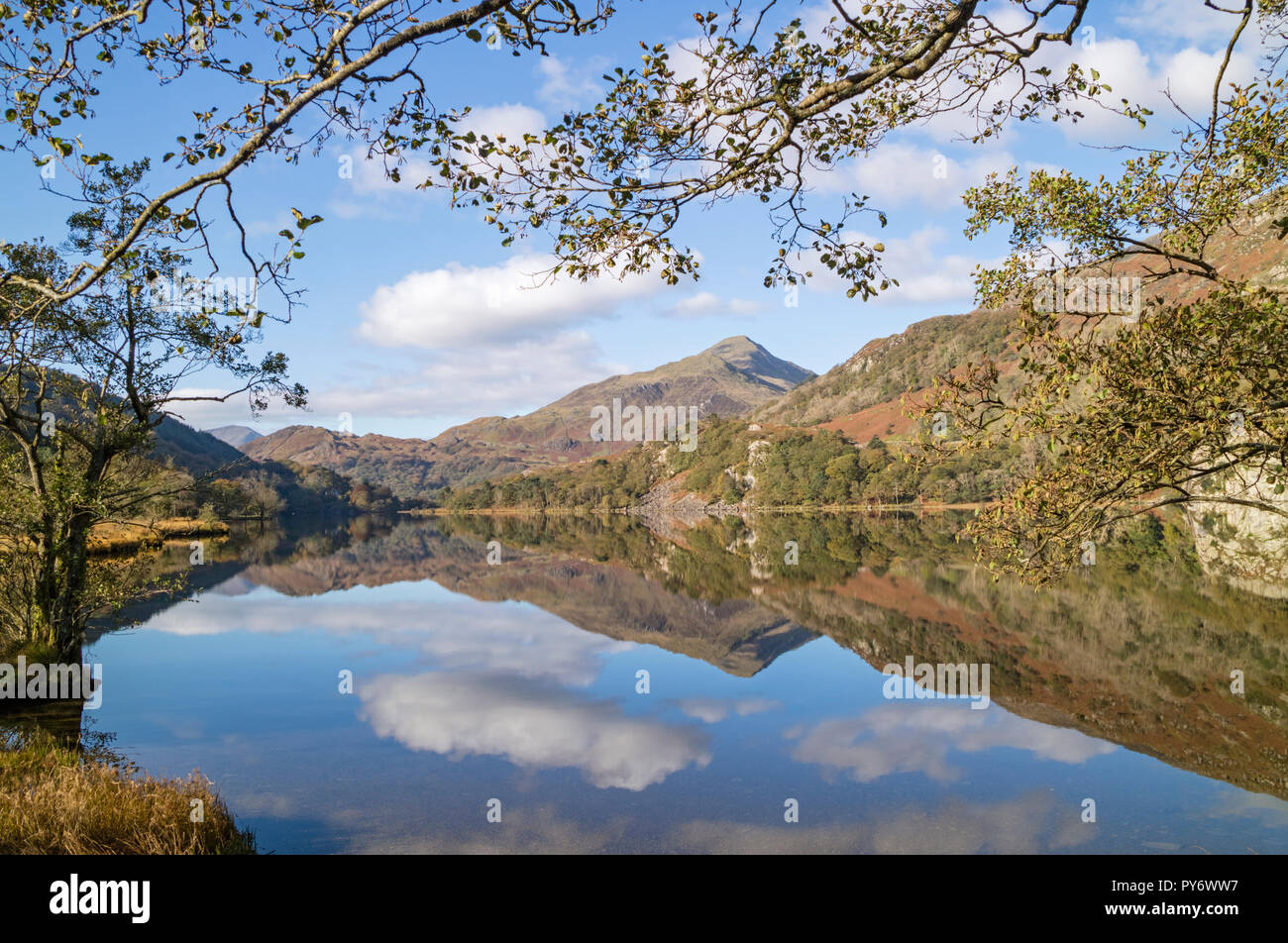 Autumn reflections on Llyn Gwynant in the Nant Gwynant Valley, Snowdonia National Park, North Wales, UK Stock Photo