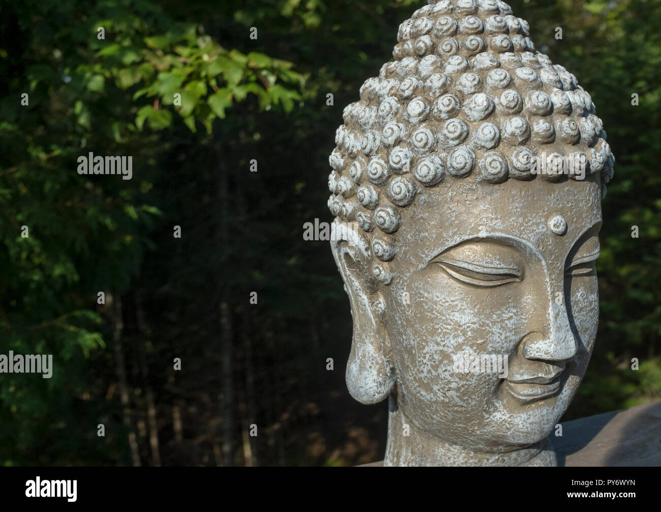 buddha head with forest background Stock Photo