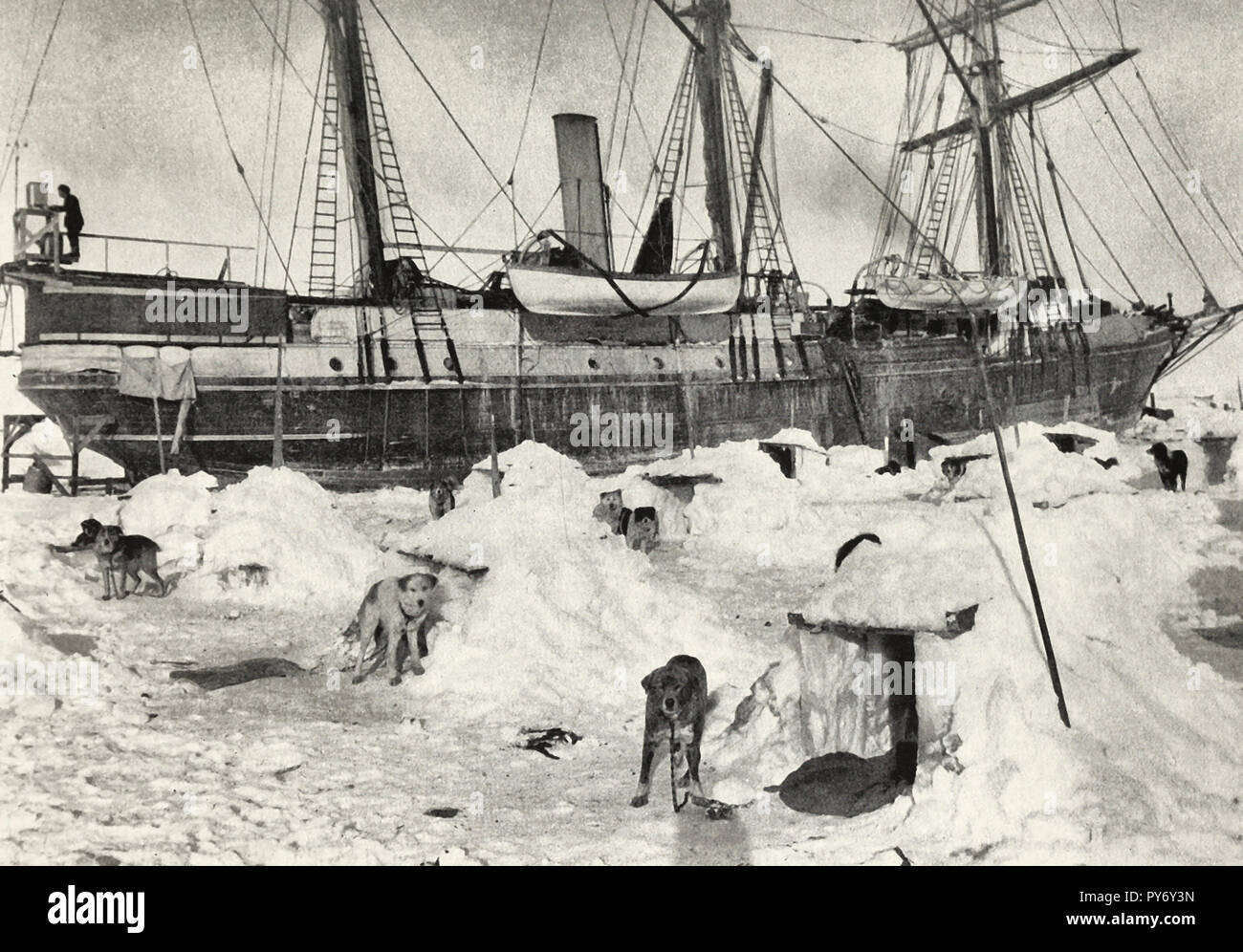 When the Endurance became embedded in the ice, the dogs were transferred from the decks to the floe and housed in snow kennels called 'dogloos.'  Shackleton Expedition Stock Photo