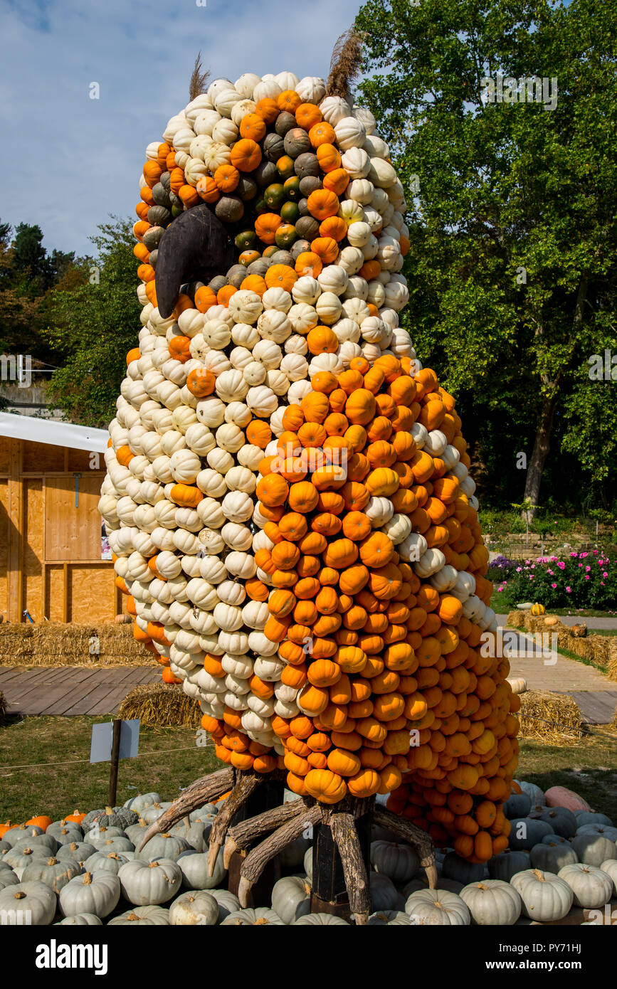 Pumpkins arranged in animal forms. A owl figure made of pumpkin. Pumpkin festival in Ludwigsburg, Germany. September 2018 Stock Photo