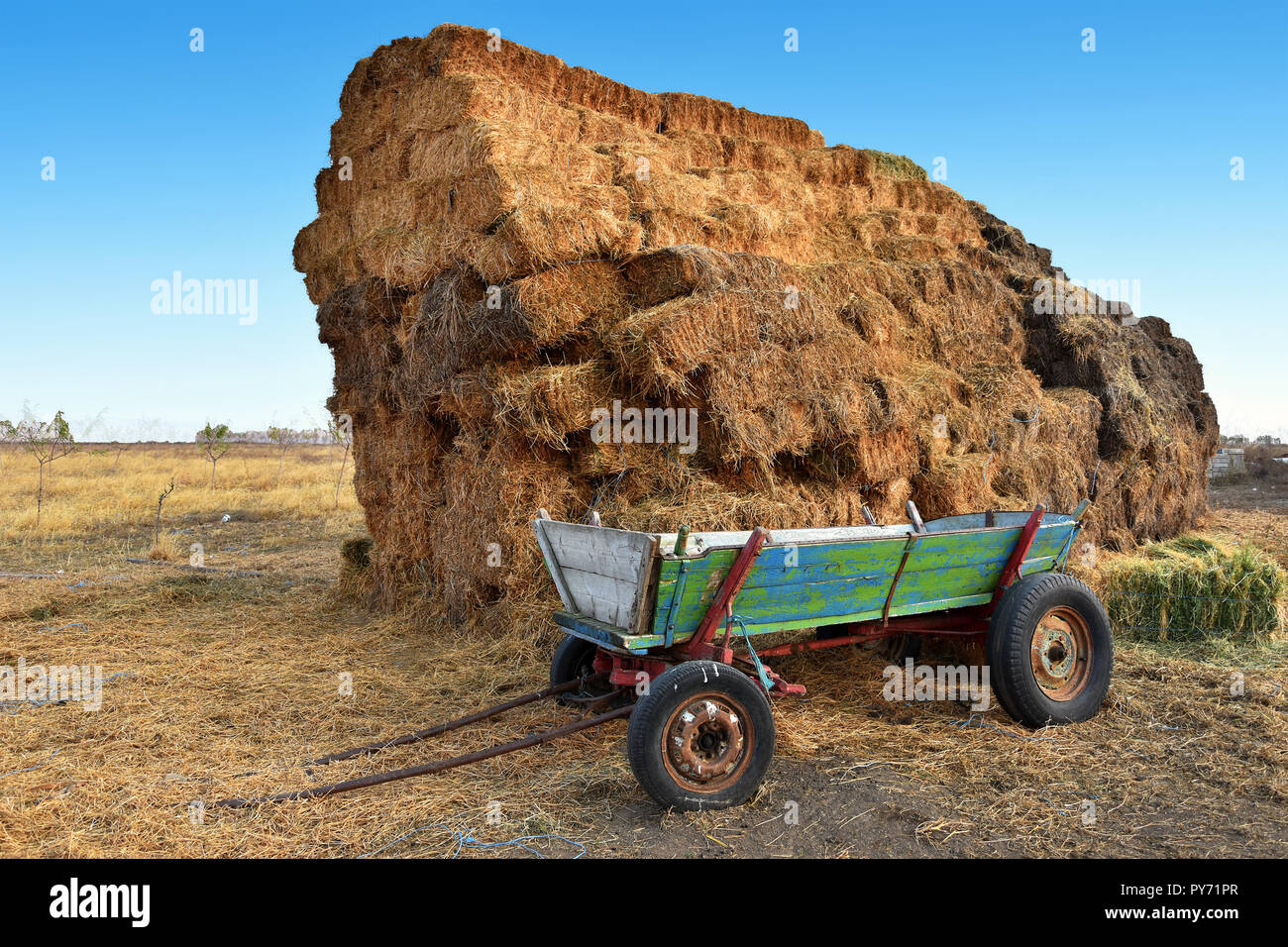 Autumn agricultural background with straw bales in Dobrogea land