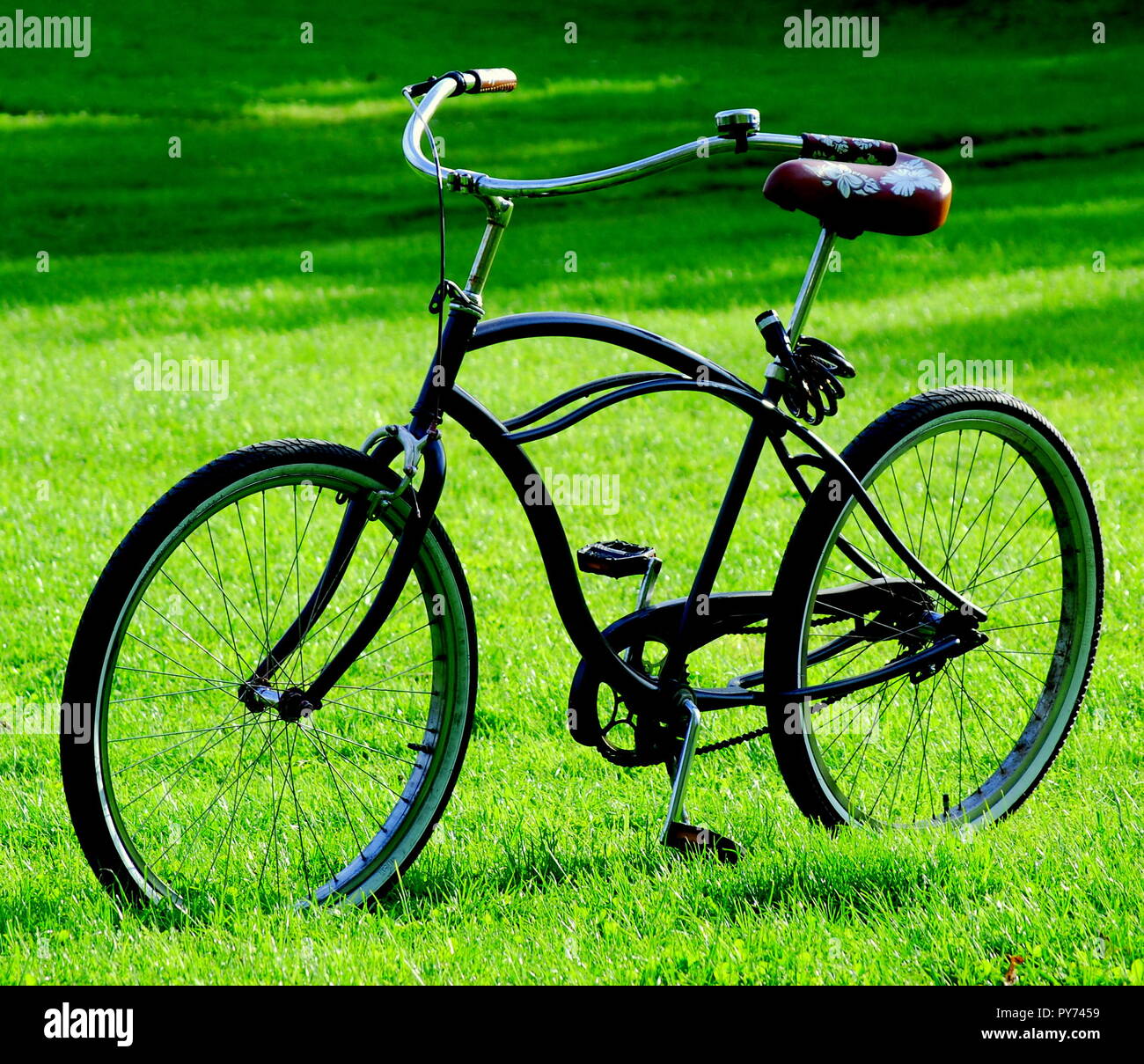 Vintage green bike hi-res stock photography and images - Alamy