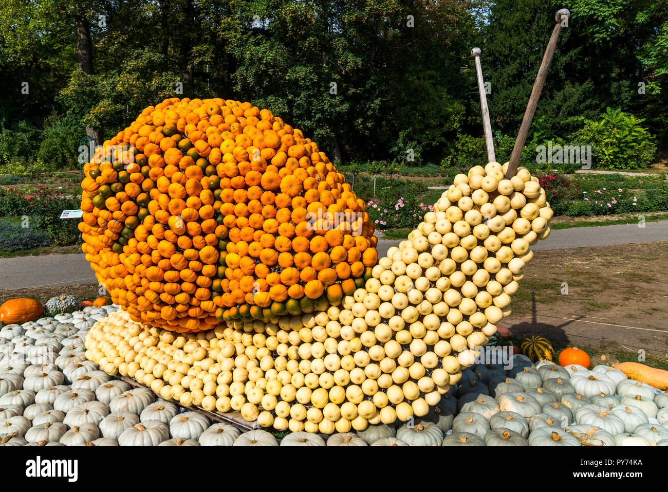 Pumpkins arranged in animal forms. A snail figure made of pumpkin. Pumpkin festival in Ludwigsburg, Germany. September 2018 Stock Photo