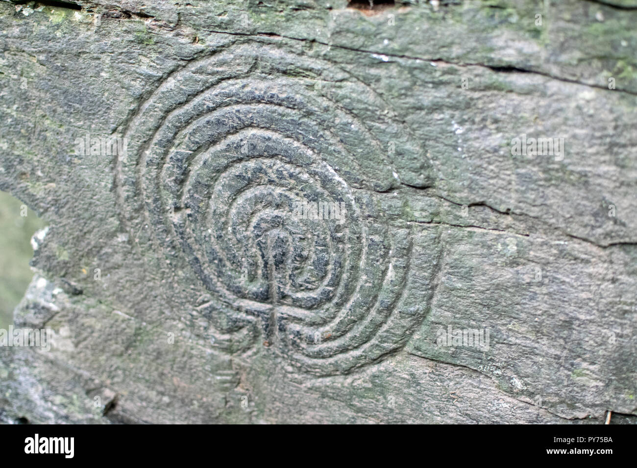Bronze Age Labyrinth Rock Carvings at Rocky Valley, Between Boscastle and Tintagel, Cornwall UK Stock Photo