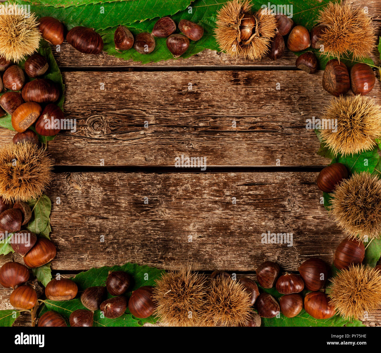 Frame of chestnuts, leaves and chestnut bur on wooden table. Stock Photo