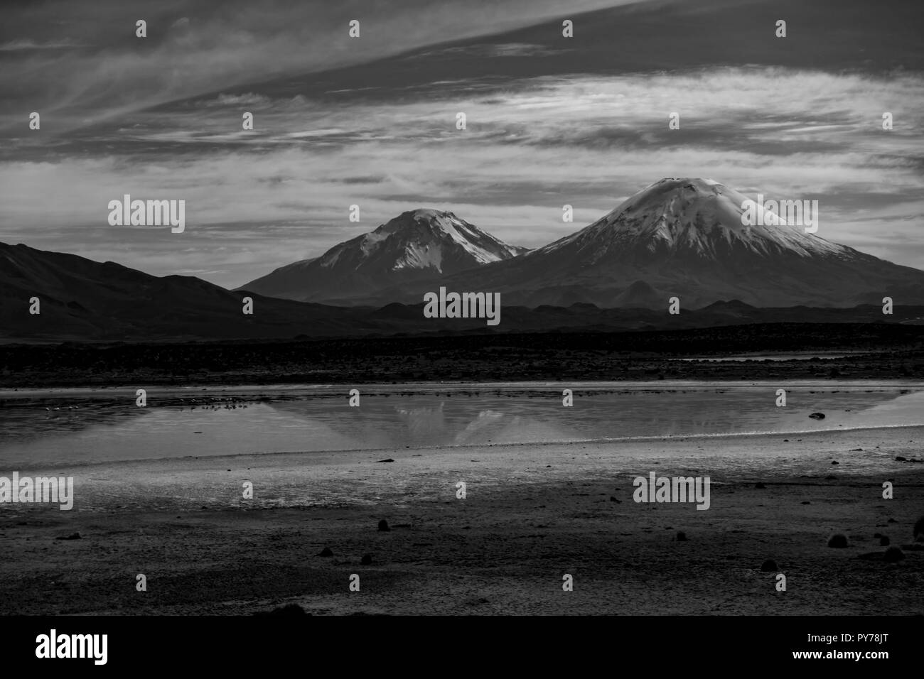 The high altitude scenery of Lauca National Park in northern Chile is spectacular with altiplano habitat and snow covered volcano peaks. Stock Photo