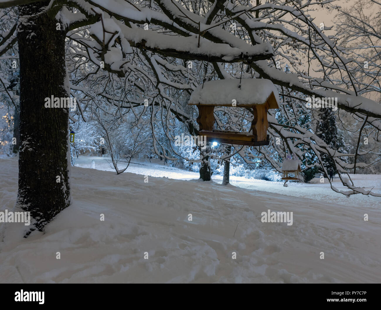 Beautiful night winter Stryjskyj park in the center of Lviv city (Ukraine) with snow-covered trees and bird rack. Stock Photo