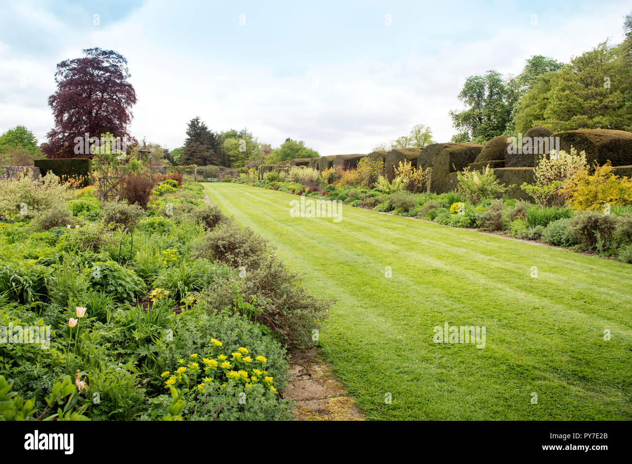 Herbaceous borders at the Miserden Estate in Gloucestershire UK Stock Photo