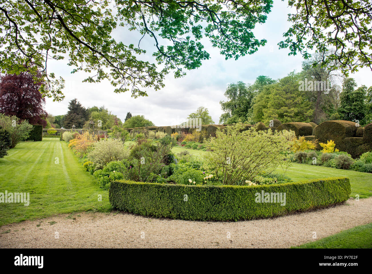 Herbaceous borders at the Miserden Estate in Gloucestershire UK Stock Photo