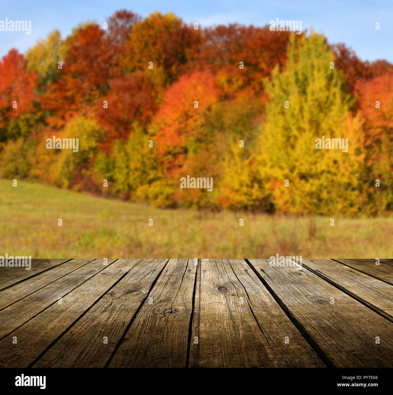 Empty wooden deck table with autumn background. Ready for product ...