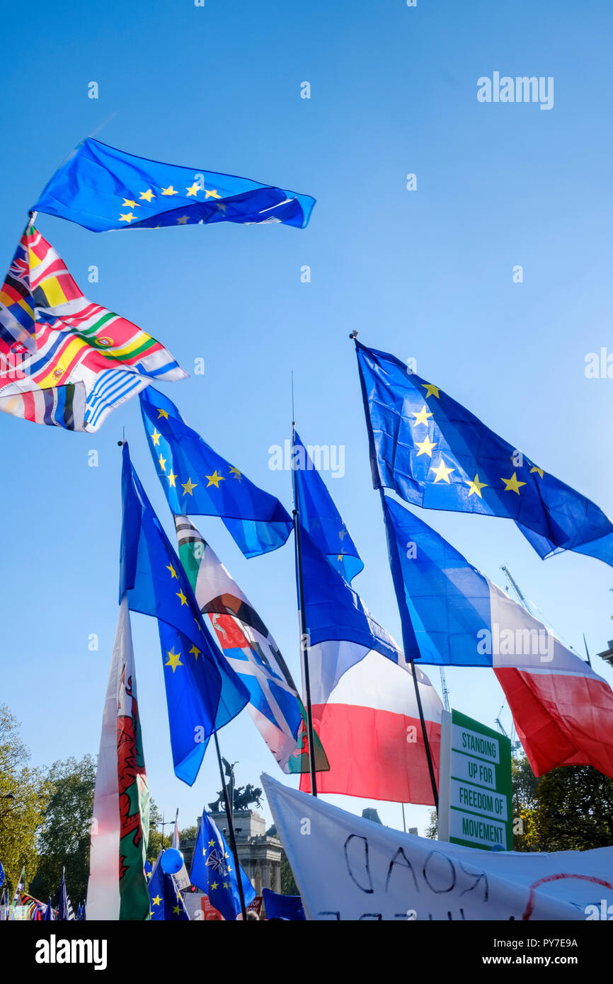 Flags including EU flag, Welsh flag, French flag, and multinational flag at Hyde Park Corner. Sign reading 'Standing up for Freedom of Movement'. Peop Stock Photo