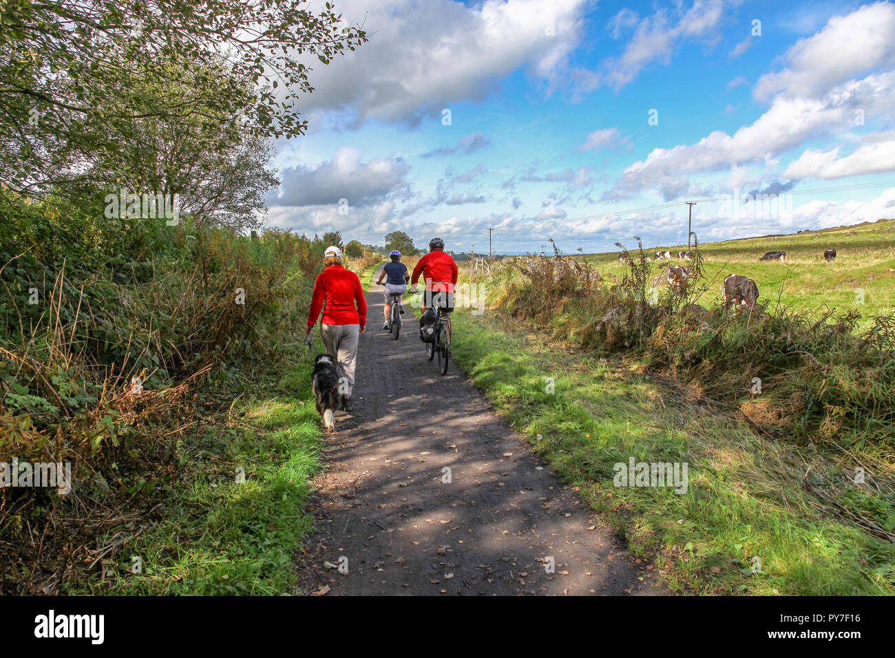 Cyclists and walkers on the High Peak Trail, Derbyshire, England, UK, Stock Photo