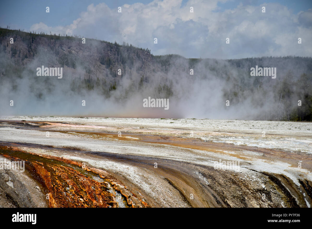 Active geyser in the Yellowstone National Park, USA Stock Photo
