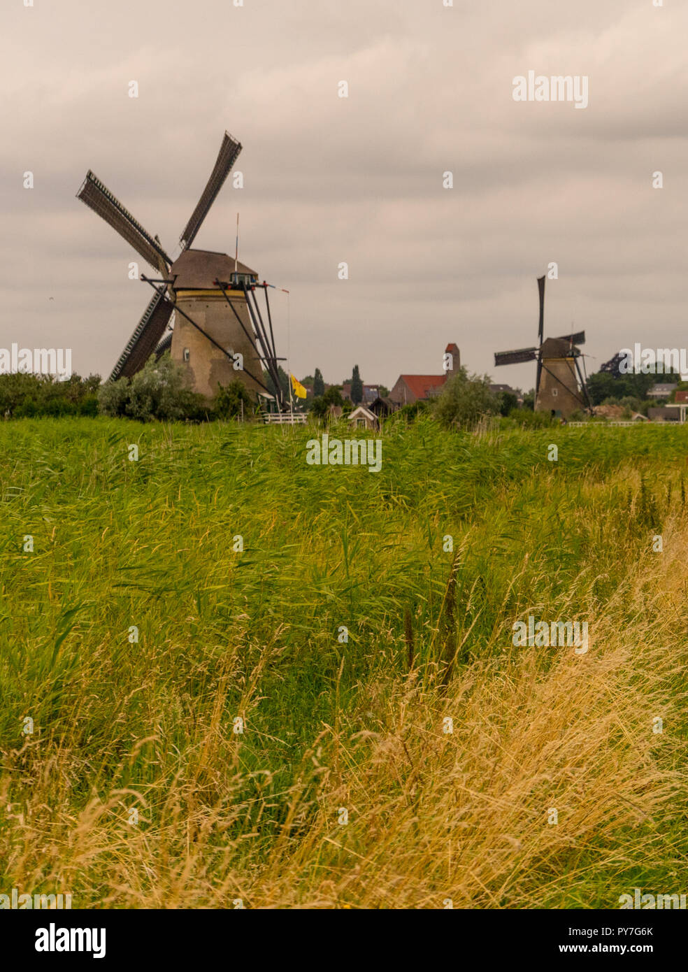 Netherlands, Rotterdam, Kinderdijk, heritage windmill above lush green grass along a canal Stock Photo