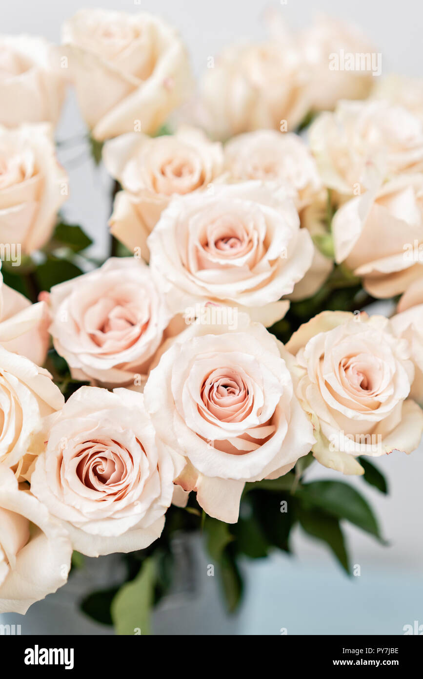 Pastel color. Beautiful light pink roses in bucket on street flower market.  Rose flower holiday background Stock Photo - Alamy