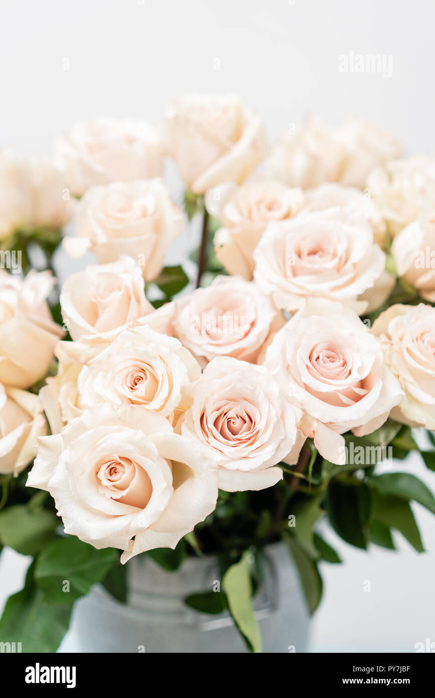 Pastel color. Beautiful light pink roses in bucket on street flower market. Rose  flower holiday background Stock Photo - Alamy