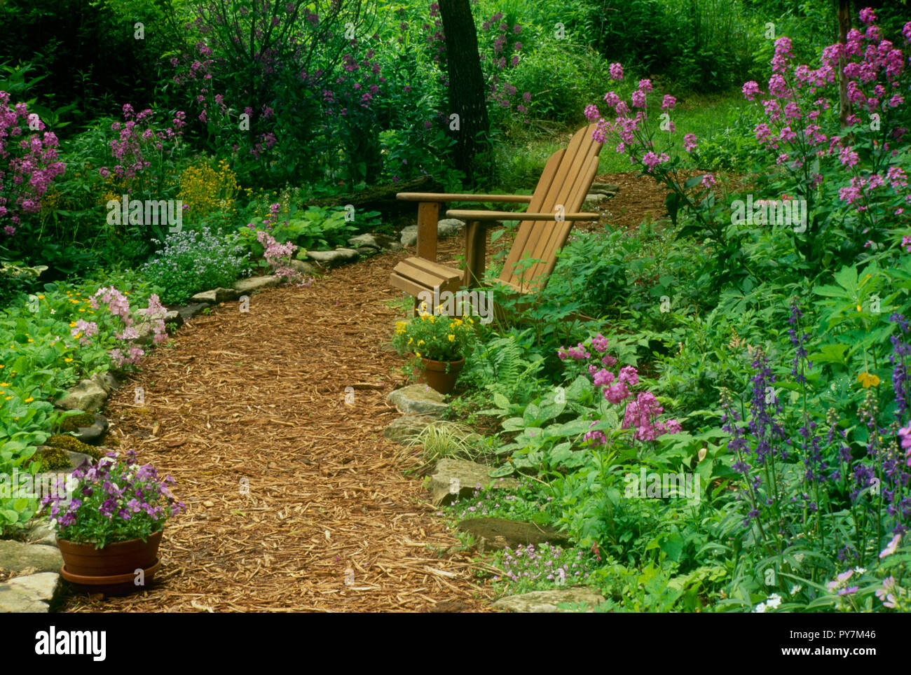 Adirondack chair on mulch pathway through shade garden, Missouri, USA
