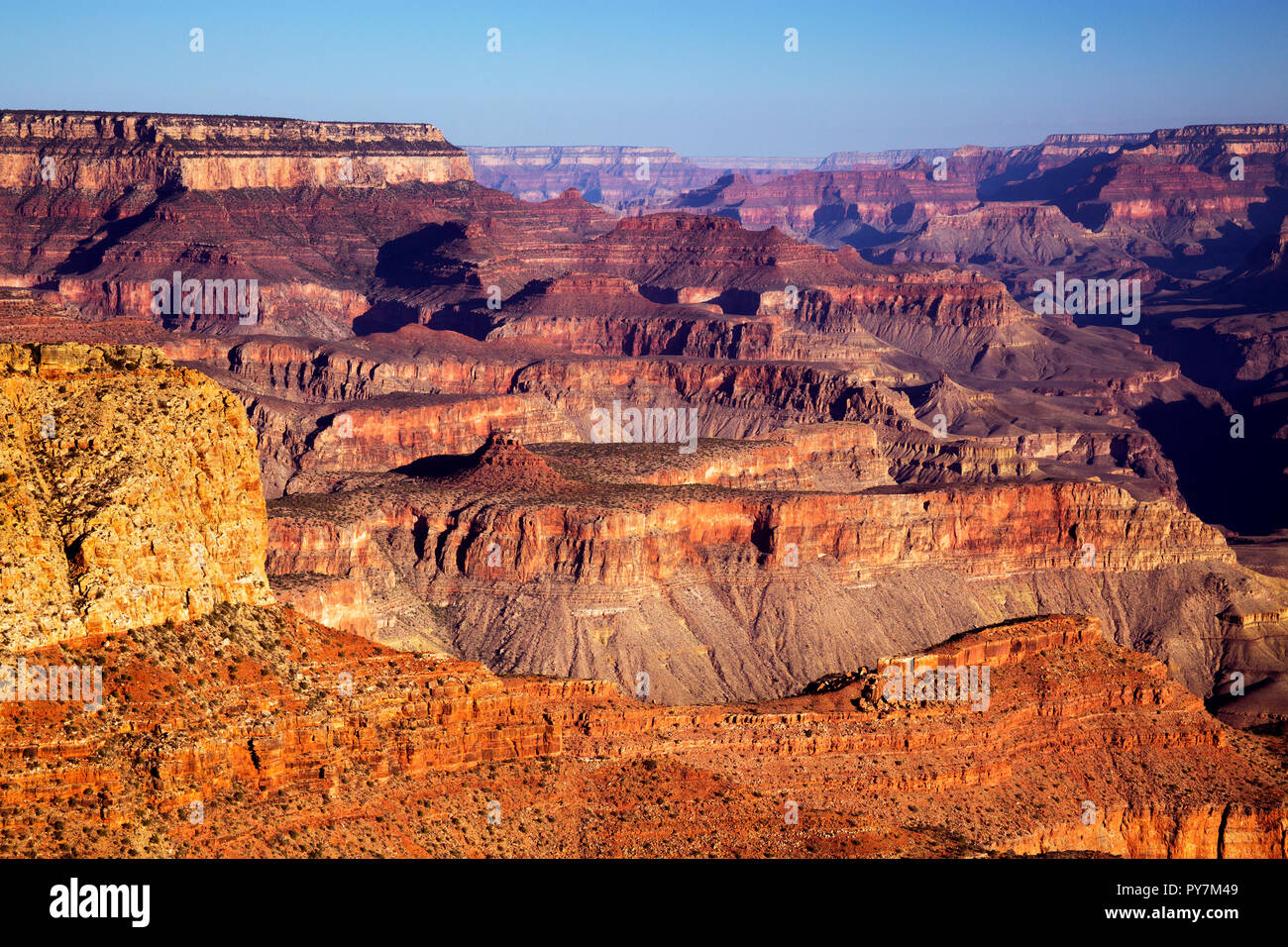 Hopi Point, Grand Canyon National Park at Sunrise, Arizona Stock Photo