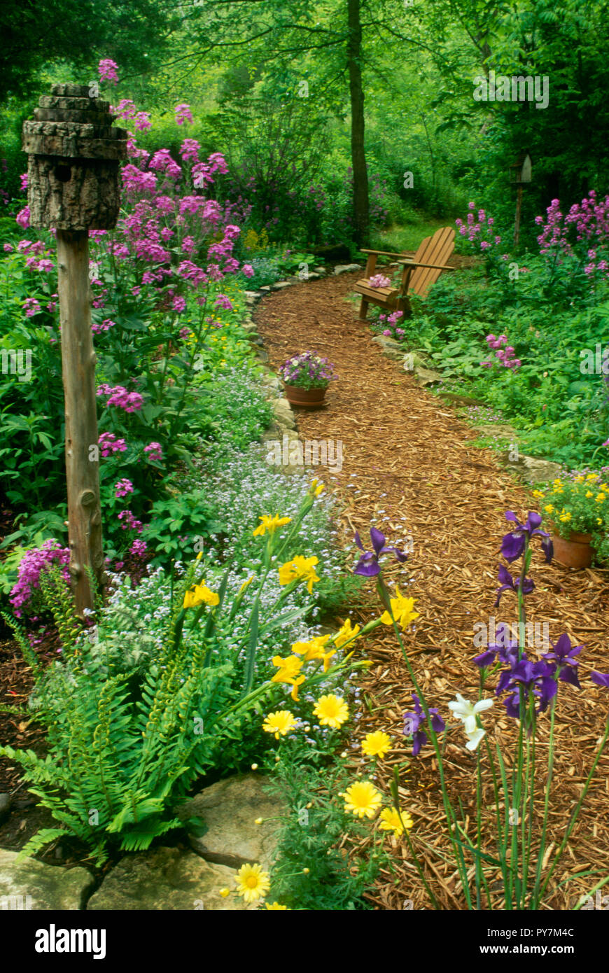 Adirondack chair on mulch pathway through shade garden, Missouri, USA Stock Photo