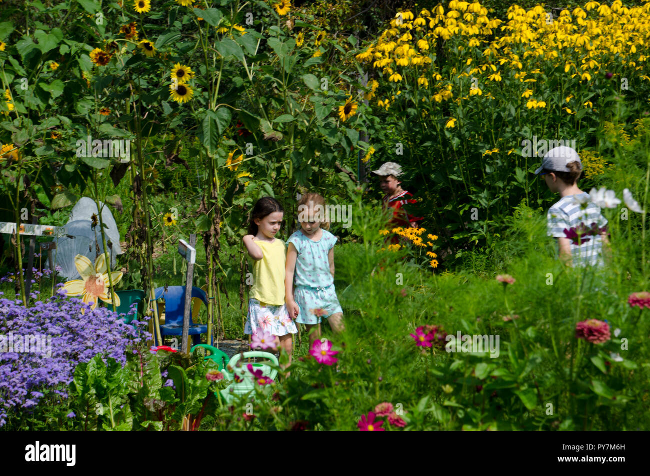 Two girls walk together in Community Garden talking, Maine, USA Stock Photo