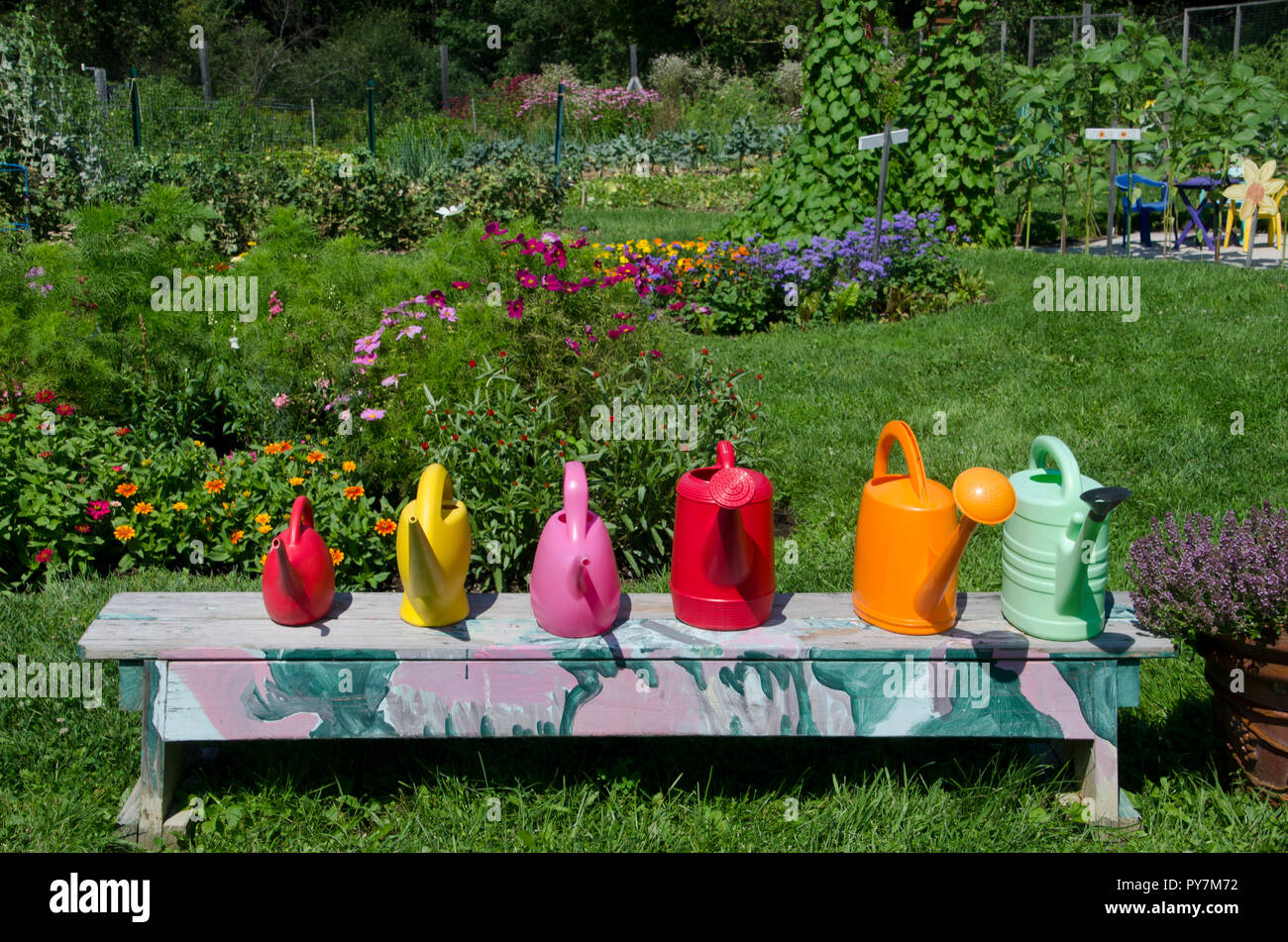 Row of colorful watering cans on painted bench in garden, Community Garden, Maine, USA Stock Photo
