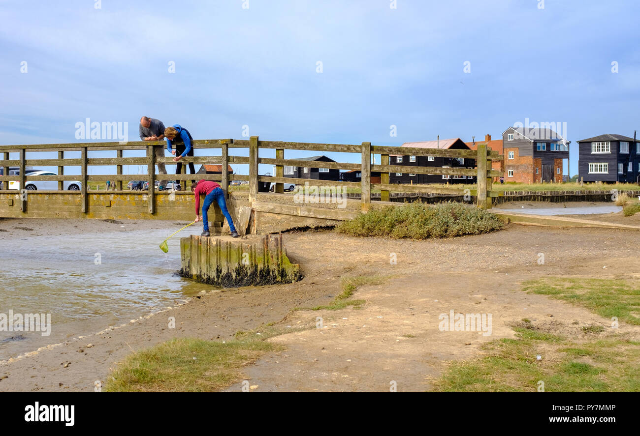 Family fun days out, dad with children fishing for crabs, crabbing, off a wooded bridge at Walberswick, Suffolk, England Stock Photo