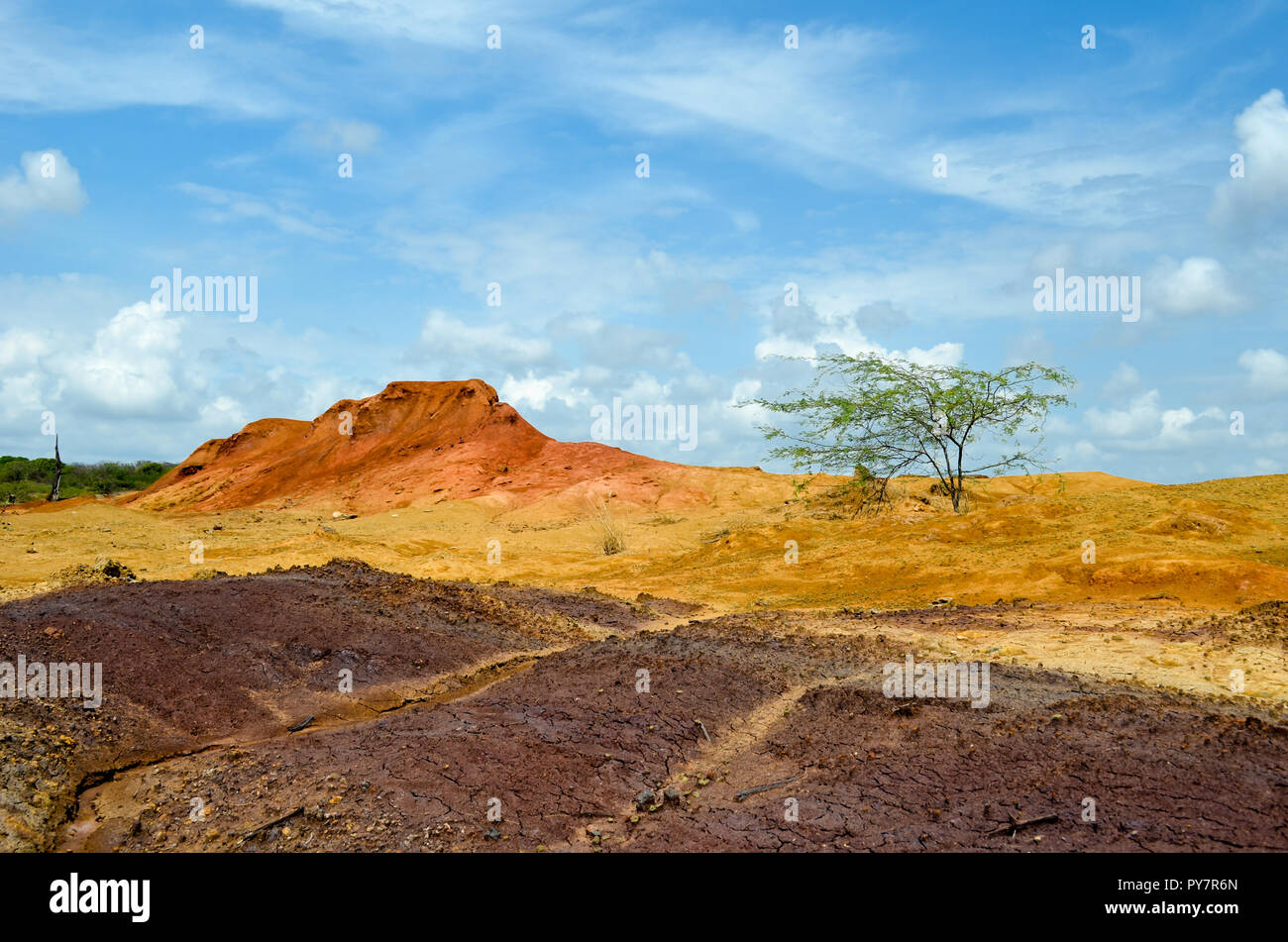 Sarigua National Park landscape Stock Photo