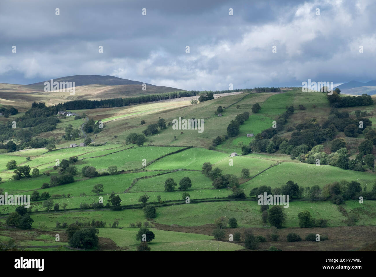 Gowbarrow Park High Resolution Stock Photography and Images - Alamy