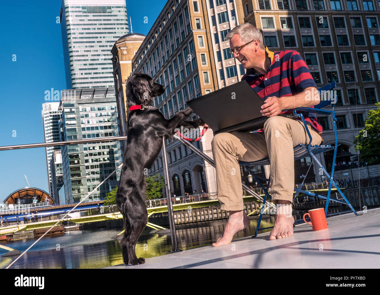 Man & dog happily networking on deck of his river barge home office enjoying sun & his pet spaniel, big business city buildings Canary Wharf London Stock Photo
