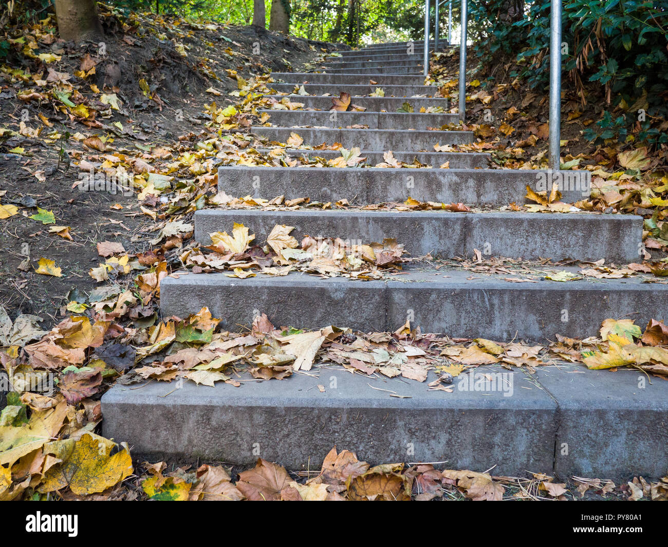 Stair covered by foliage at the entrance in a park. Stock Photo