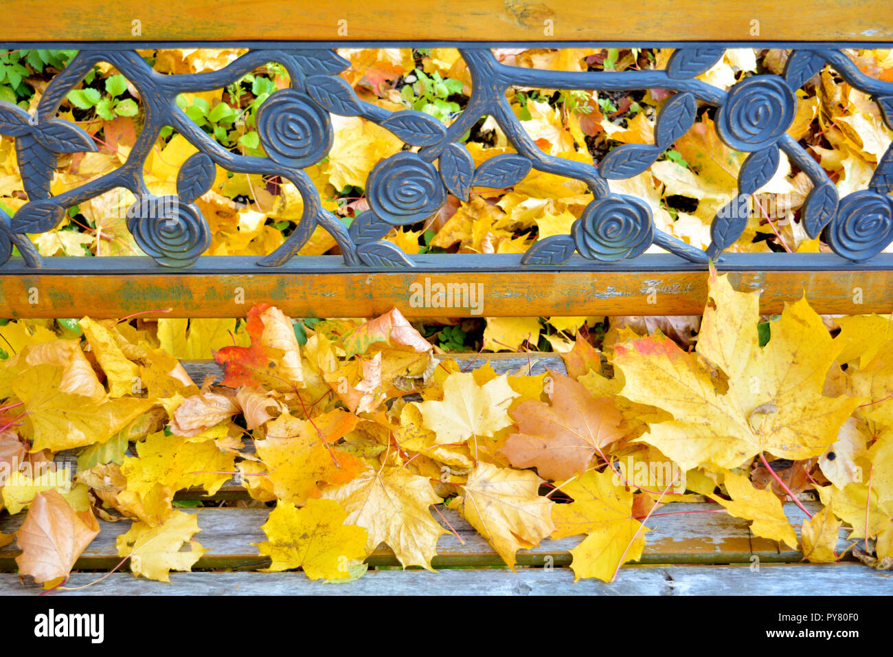 Fragment Of A Park Bench With A Wrought Iron Back With A Pattern