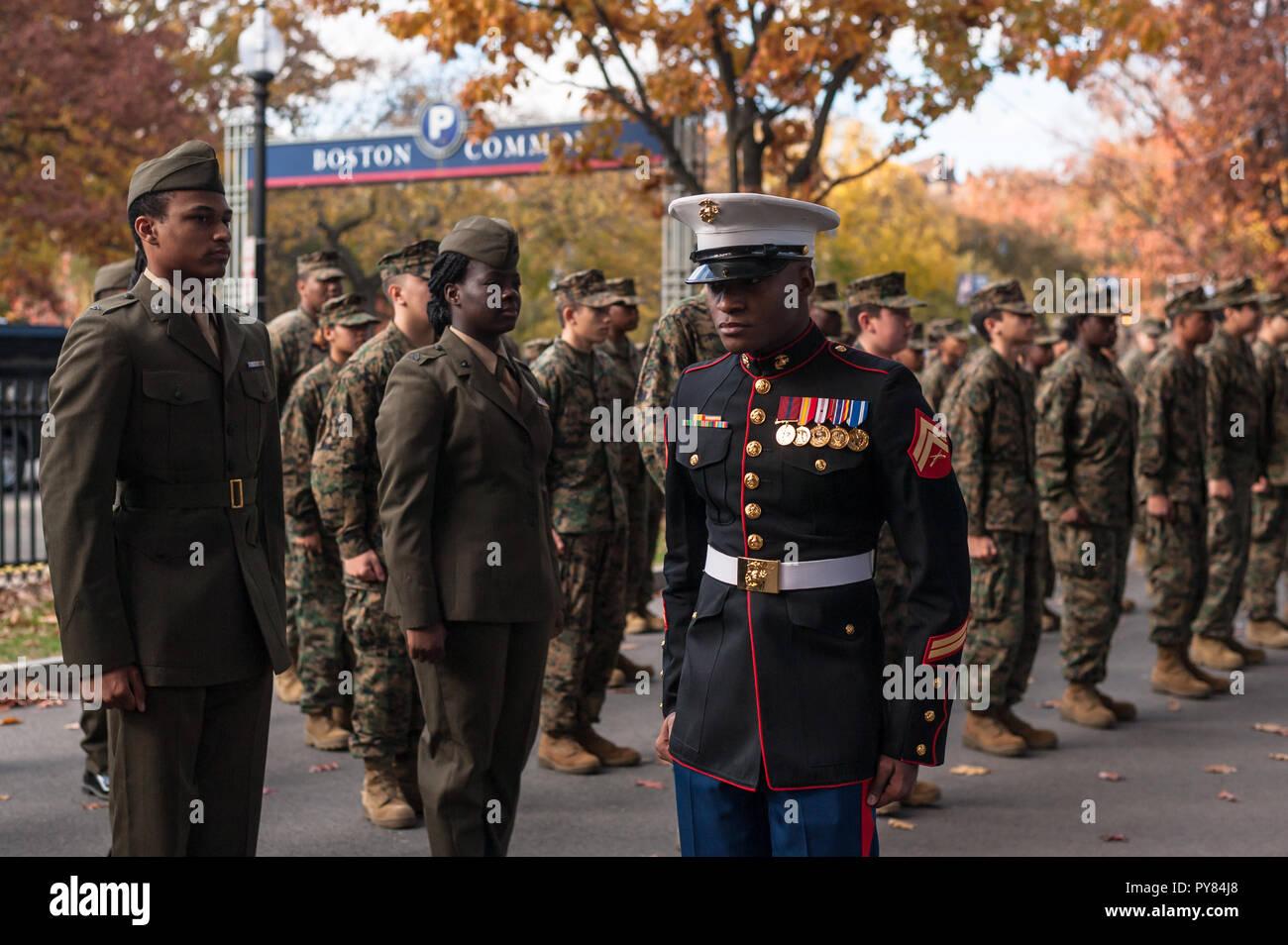 When is veterans day in ma