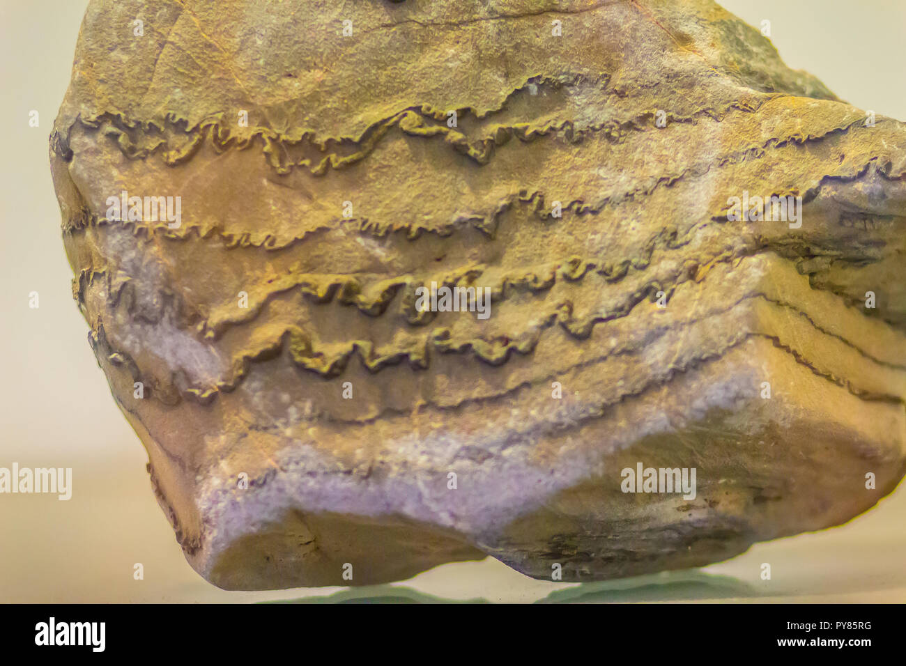Folded rock from mining for education. Folds in rocks vary in size from microscopic crinkles to mountain-sized folds and occur singly as isolated fold Stock Photo
