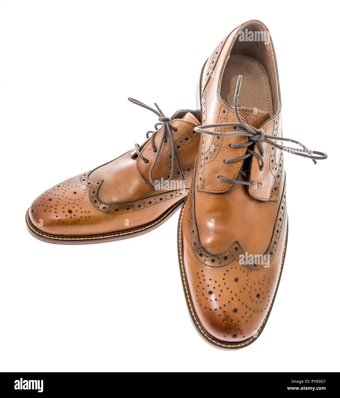 Mens Brown & Blue Leather Wingtip Dress Shoes
