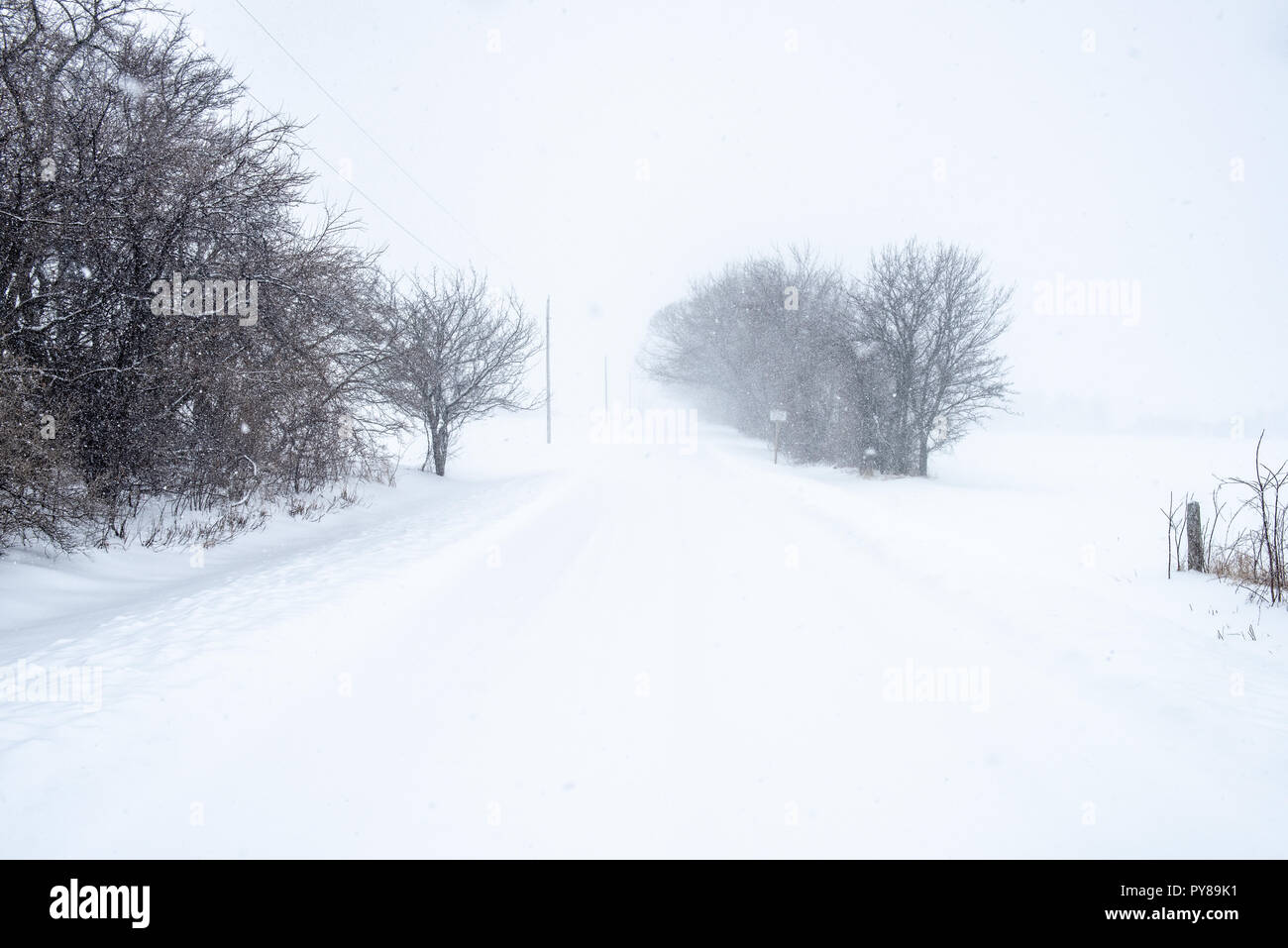 A country road that is completely covered by snow during a blizzard Stock Photo