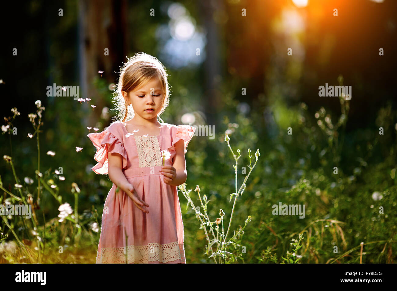 Little girl in pink dress on meadow Stock Photo