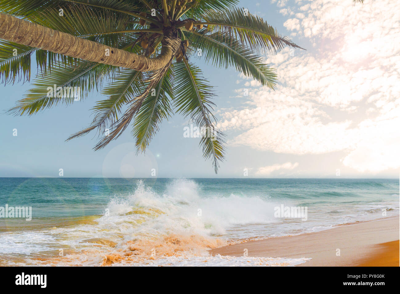 Ocean waves against the blue sky and palm trees Stock Photo - Alamy