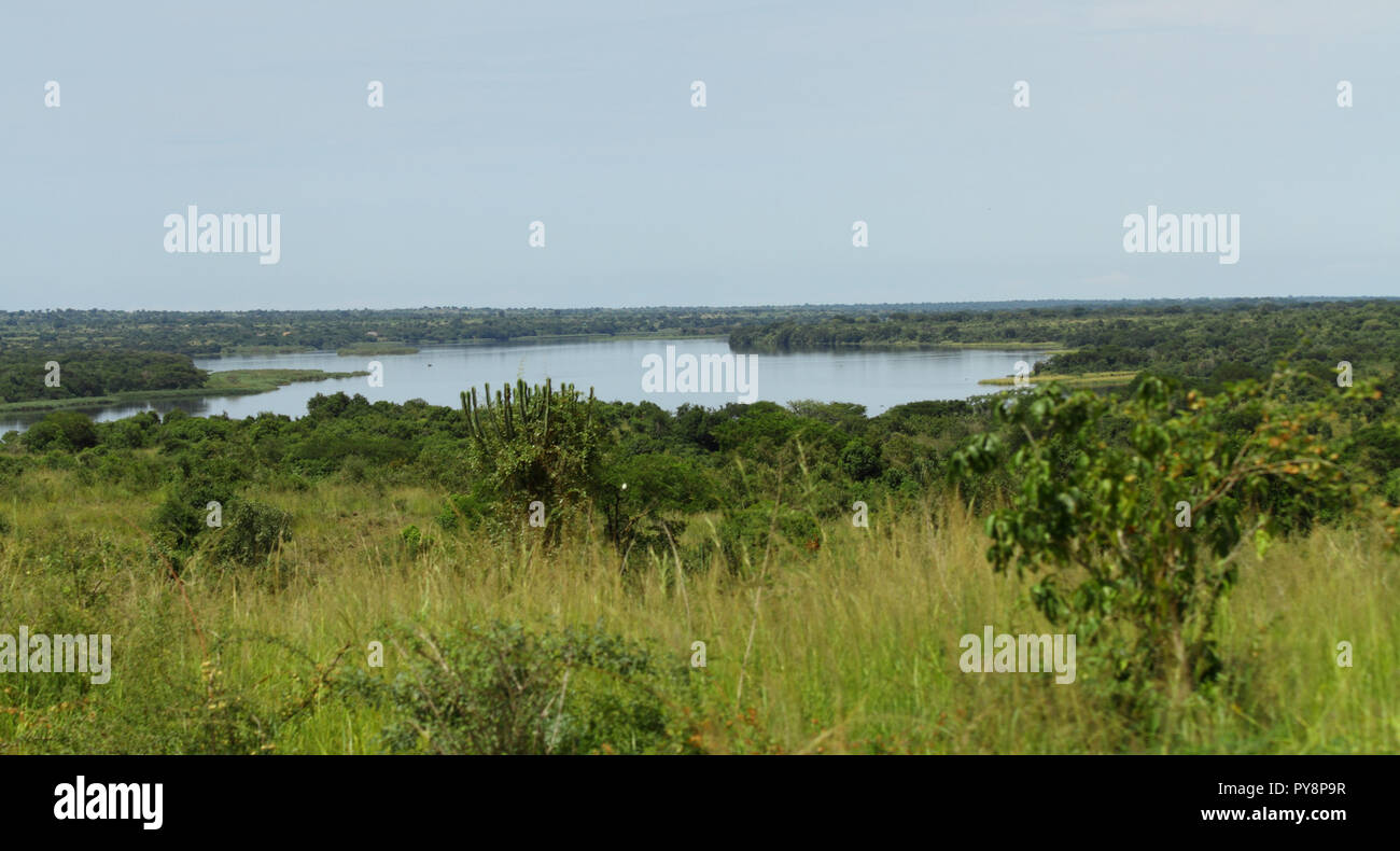 Looking out across a green jungle at the Nile river start in Murchison Falls National Park, Uganda Stock Photo