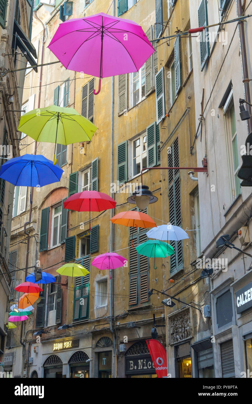 Colouful umbrellas in the street in Genoa ( Genova) in Italy, Europe