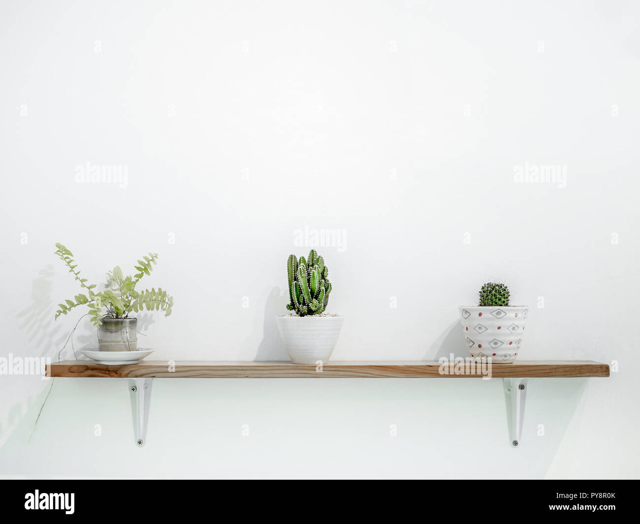 Small Cactus Plant In Cute Pots On Wooden Shelves On White Wall