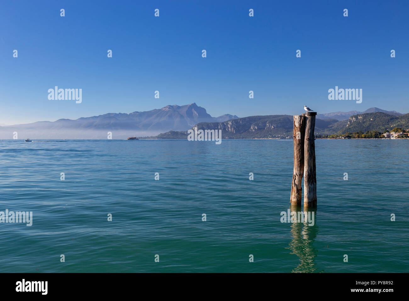 Bird on a post in Lake Garda at Bardolino in northern Italy Stock Photo